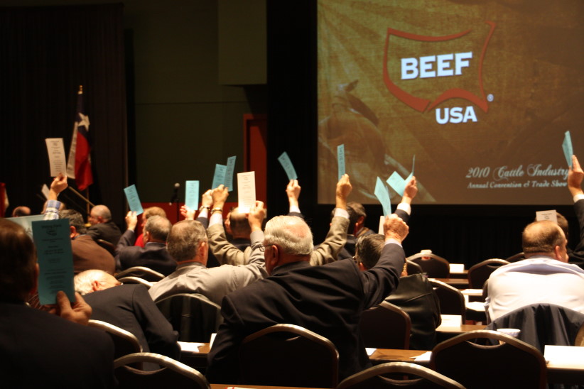 Concerns About NCBA Making Decisions on How Beef Checkoff Monies Are Spent Raised in Letter to USDA's Tom Vilsack