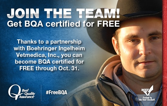 Get BQA Certified for Free From Boehringer Ingelheim 