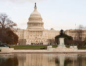 Michael Smith Urges Congress to Repeal COOL