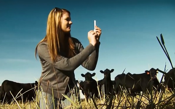 Voting Underway for Beef Checkoff ROI Video Contest