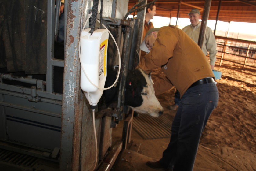 Antibiotic Use in Animal Ag- A Hot Topic in 2015 that Will Continue to Be a Hot Topic in 2016