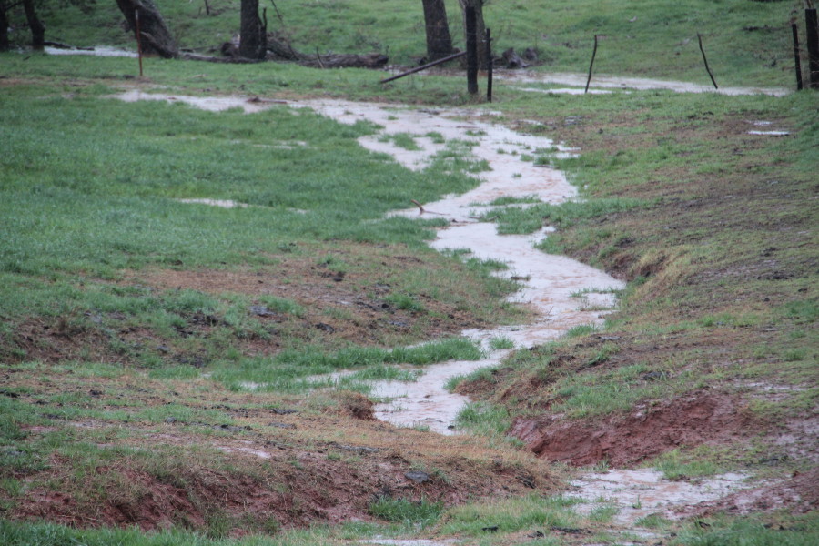 NCBA Cheers the Prospect of WOTUS Going Down the Drain