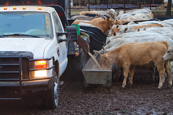 Recent Success in Feedlot Markets Threatened by Rising Breakeven Costs, Is Red Ink on the Way?