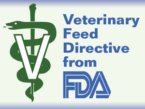 Fourteen Months Into the Veterinary Feed Directive- Cattle Producers Are Working Well  With Their Vets 