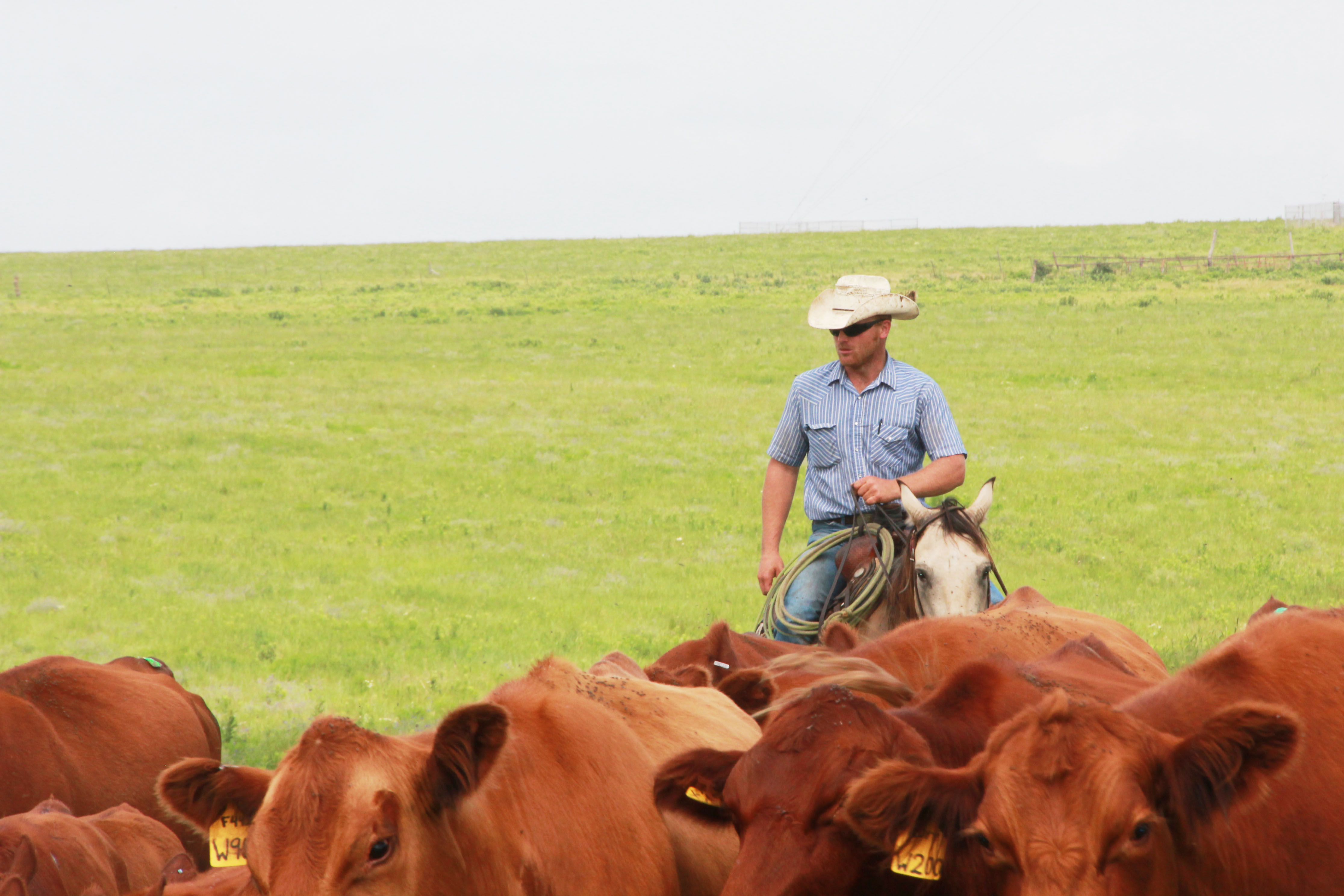 Low-Cost Production Typical of High-Profit Ranches - More Ranch Managers Who Get That Needed