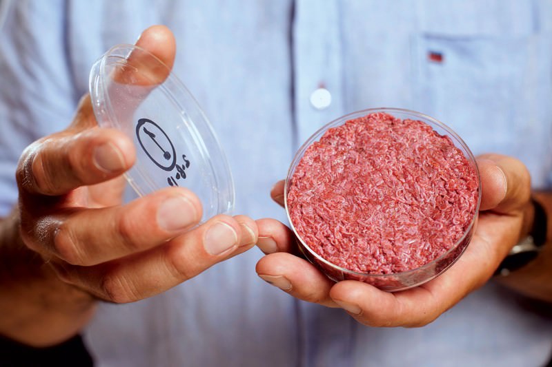 Turf War Between FDA and USDA Over 'Fake Meat' Heats Up- NCBA's Danielle Beck Pushes Back