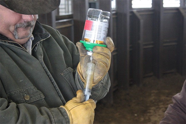 Is Your Herd Health Program Up to Snuff? BI's Craig Jones Offers Tips on Prepping for Fall Calving