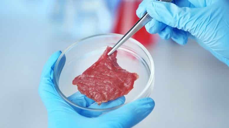 NCBA Fights Back on FDA's Challenge of USDA's Authority Over Fake Meat - Calls Industry to Action