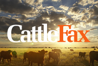 CattleFax CEO Randy Blach Shares Positive Outlook on Cattle Markets, Warns of Possible Setbacks