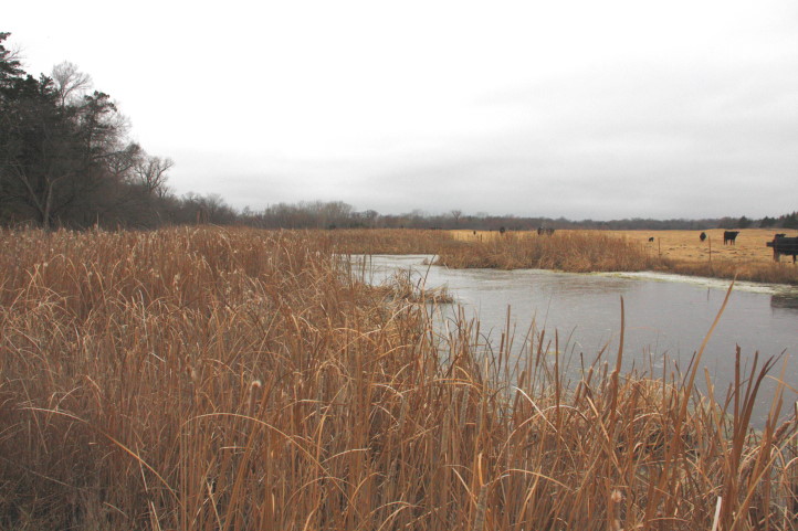 NCBAs Kevin Kester Urges Producers to Take a Stand For WOTUS, Submit Comments to EPA