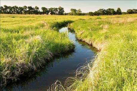 Eco-Activists Muddy the Waters Again with New Supreme Court Filing as WOTUS Debate Wraps Up