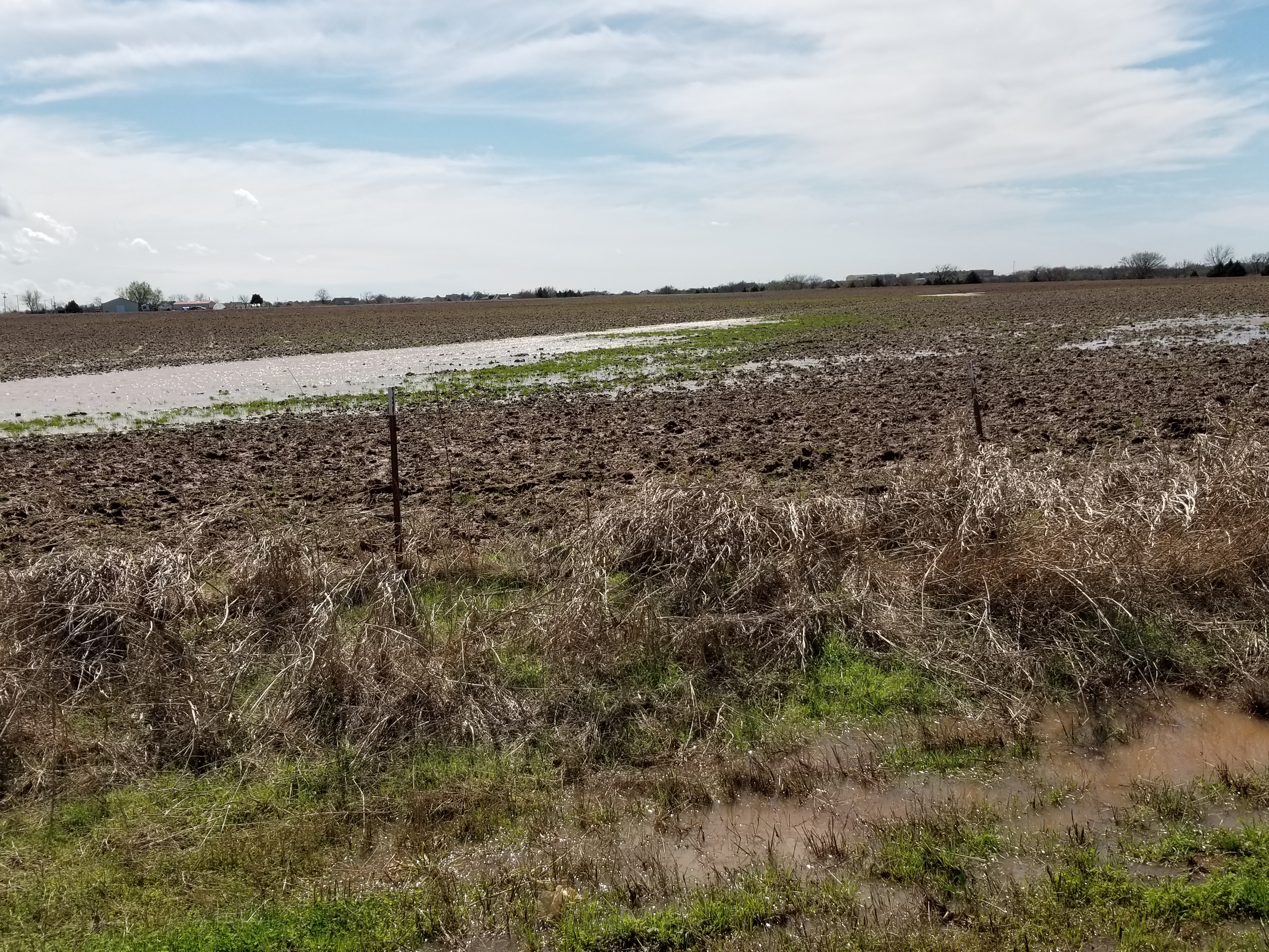 NCBA's Scott Yager Tells Landowners To Enjoy New Trump WOTUS Rule Which Became Law June 22