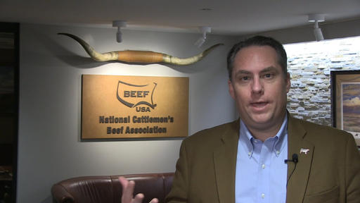 CFAP 2 Has Been a Big Help For Cow/Calf Prodcuers, Says NCBA's Ethan Lane