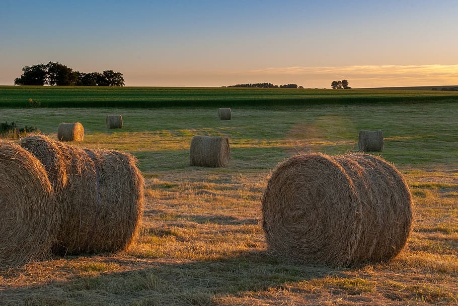 Concern Grows For Adequate and Affordable Hay Supplies as Drought Conditions Intensify Across The Country