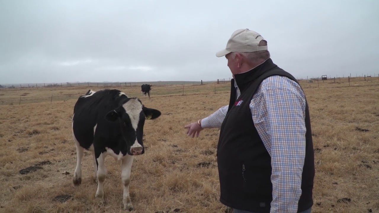 Oklahoma Cattle Producers Cautiously Optimistic Says OCA's Michael Kelsey