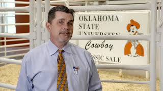 February's Brutal Cold Could Impact Breeding Bulls This Spring Says OSU's Mark Johnson