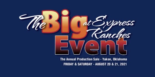 Cattle Selling This Month at The Big Event at Express Ranches are the Best of the Best
