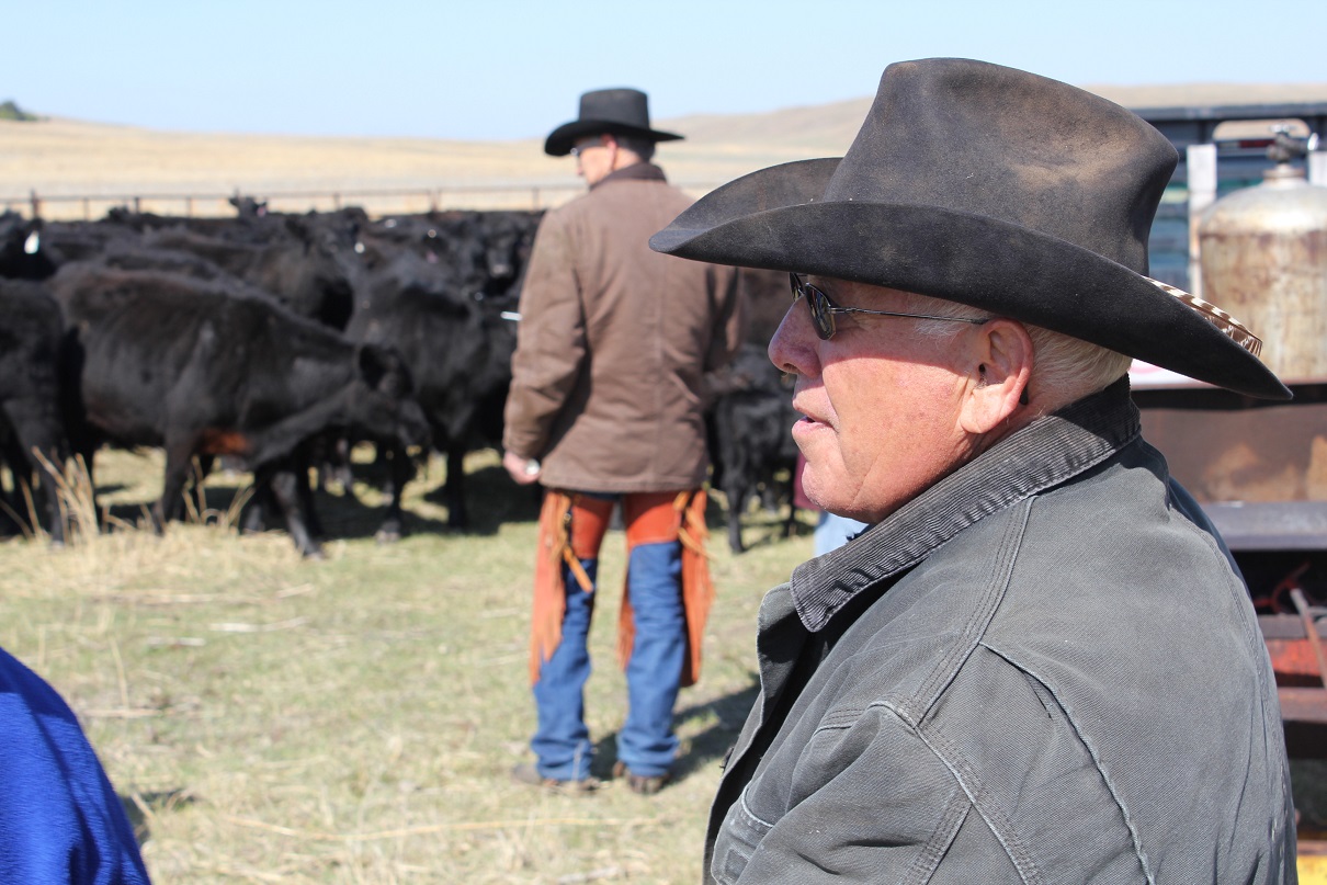 Dakota Moss Says Cattle Producers Can Benefit from Utilizing a LRP Program