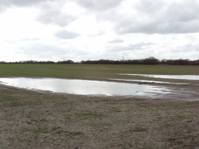 Cattle Producers Voice their Concerns at WOTUS Roundtable