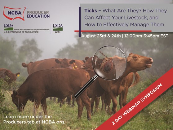 Upcoming Webinar to Educate Cattle Producers about the Newest Pest Threatening the Industry