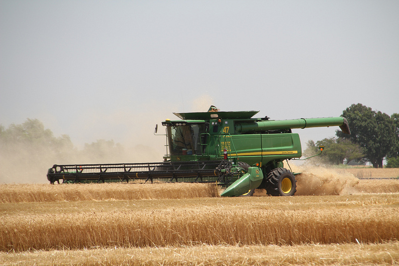 Texas Wheat Harvest Reaches Fifty Percent Done- Oklahoma Now Stands Eighty One Percent Complete According to Plains Grains