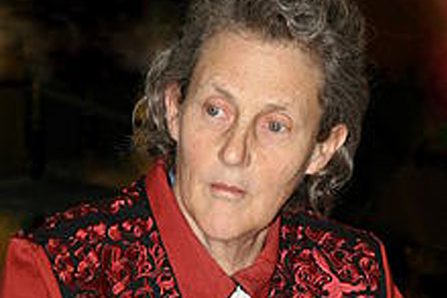 American Meat Institute, Temple Grandin Release Humane Slaughter Video