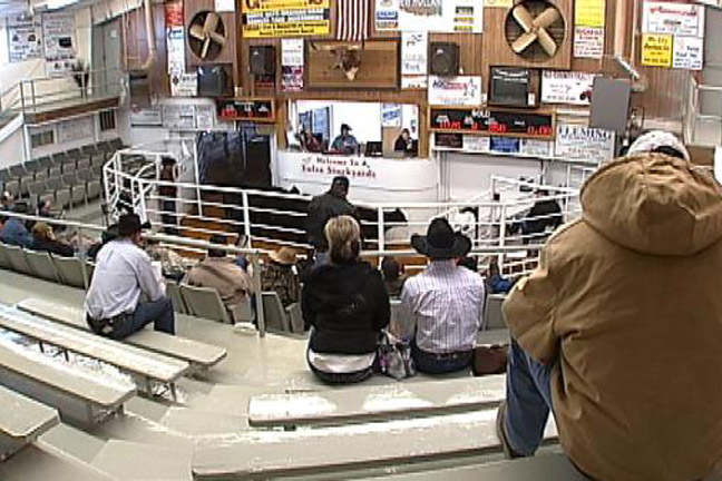 livestock auctions in tulsa oklahoma