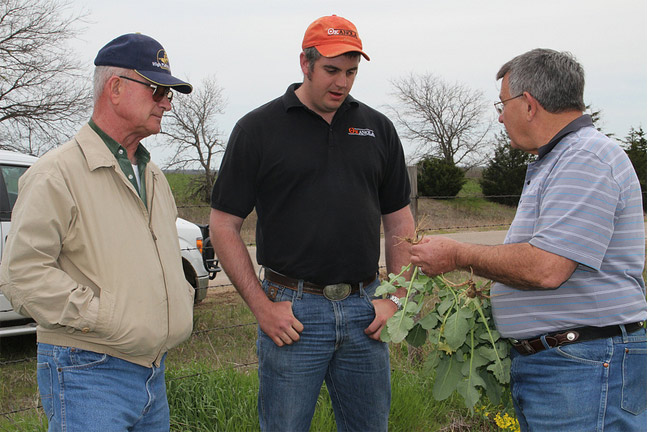 Canola Showing Its Resilience to Adverse Weather Events, Bushong Says
