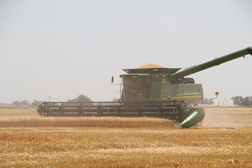 Wheat Harvest Begins as Rain Arrives in Southwest Oklahoma