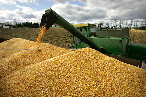 Nation's Corn Harvest Progressing- But WAY Behind Five Year Average 