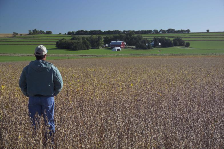 Neonicotinoid Seed Treatments Critical for Certain Soybean Operations 