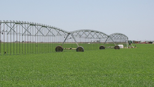 Managing Salinity in Ground Water Through Crop Selection and Irrigation 