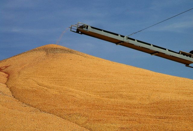 U.S. Corn, Sorghum, Soybean Harvest Running Ahead, Wheat Planting Reaches Halfway Mark