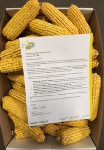 Ears of Corn Sent to Democratic Politicians to Remind Them of Importance of RFS to Rural America
