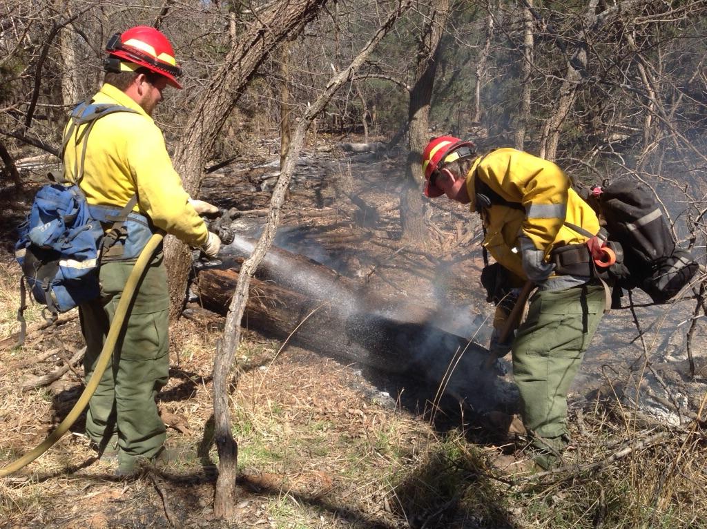 Anderson Creek Fire Now Ninety Percent Contained- The Latest on Hay Needs, Pasture Listings and Cash Donations