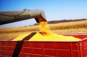 Study Shows Corn Exports Add $74.7 Billion To U.S. Economy