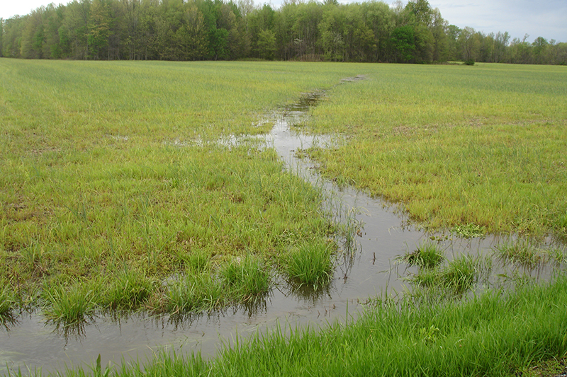 NCBA Continues the Fight Against WOTUS 