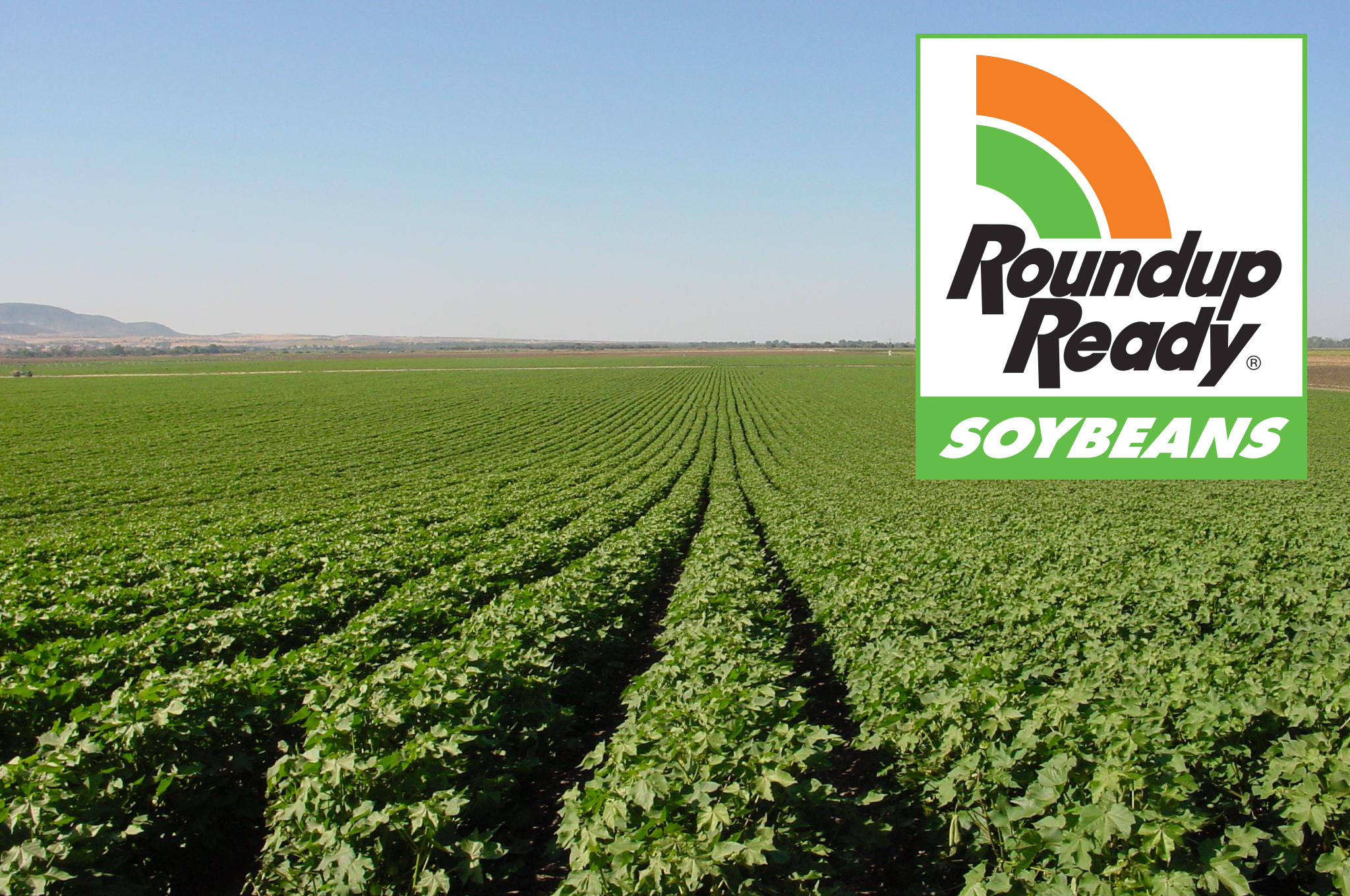 Oklahoma Farm Report US Soybean Growers Cheer Reauthorization Of 