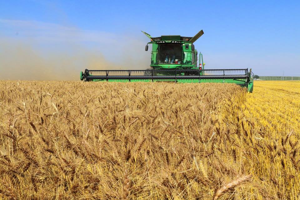 Plains Grains Calls Wheat Harvest 28% Complete in Oklahoma- 27% in Texas