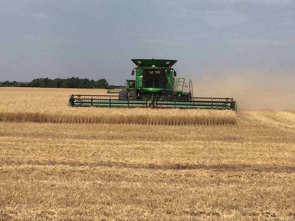 Final Wheat Harvest Report of Season- Oklahoma Wheat Commission Calls Harvest 98% to 99% Complete