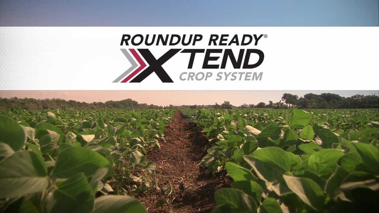 Monsanto Hails Decision by EU to Allow Import Approval for Roundup Ready 2 Xtend Soybeans