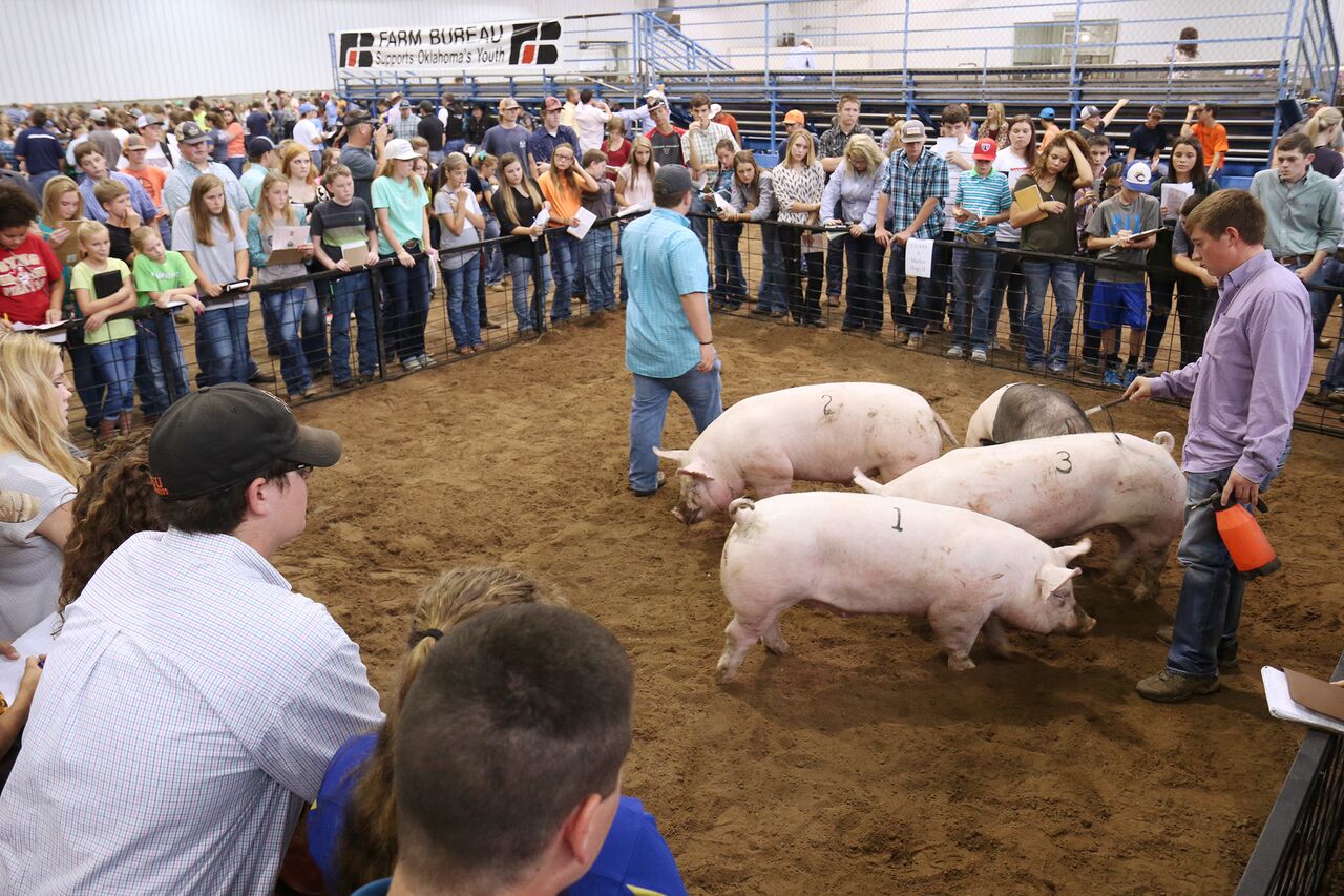 Oklahoma Farm Report Weatherford FFA and Stephens County 4H Have Top Teams at 2016 State Fair