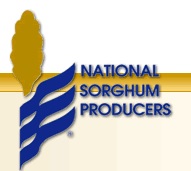 National Sorghum Producers Hire New Executive Director for Colorado, New Mexico and Oklahoma