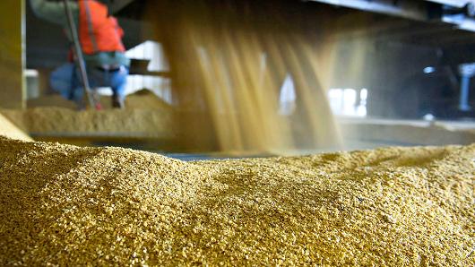 US Grain Groups Deny China's Claim of Injury to Dried Distiller Grains Producers, Assure Cooperation
