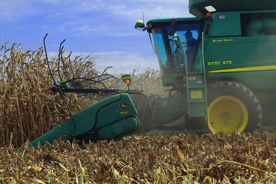 Oklahoma Farm Report Improving Demand Helping Boost Corn Prices in the Face of a Record Crop