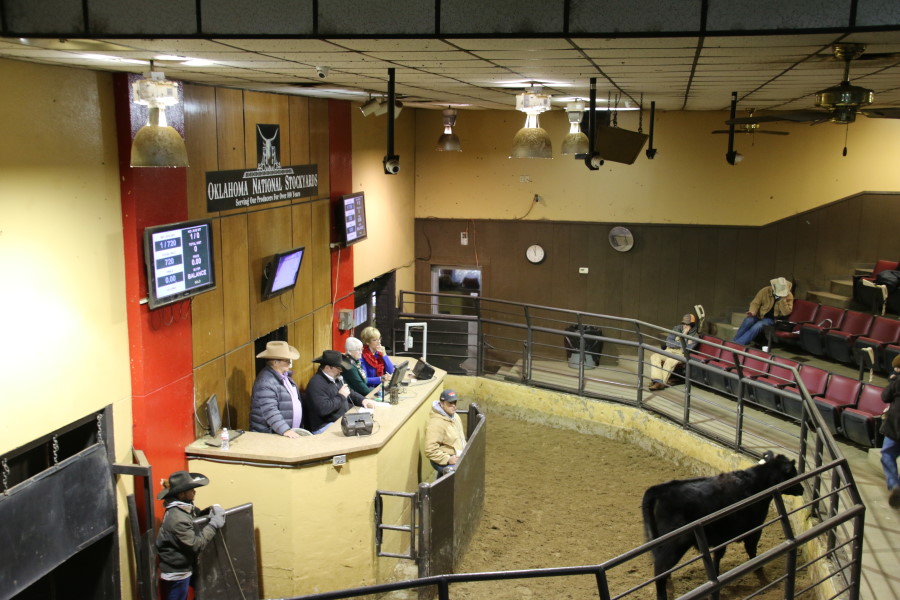 Sale and Resale of Calf Brings Over $53,000 to the All American Beef Battalion