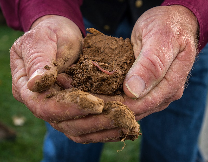 Farmers Take Advantage of Soil Health Programs to Increase Productivity and Profitability of Crops