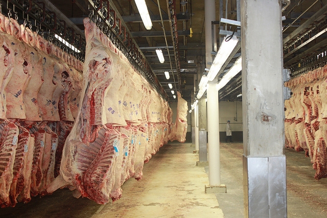 Dr. Derrell Peel Examines the Dynamics Between the Major Players on the World Beef Trade Scene