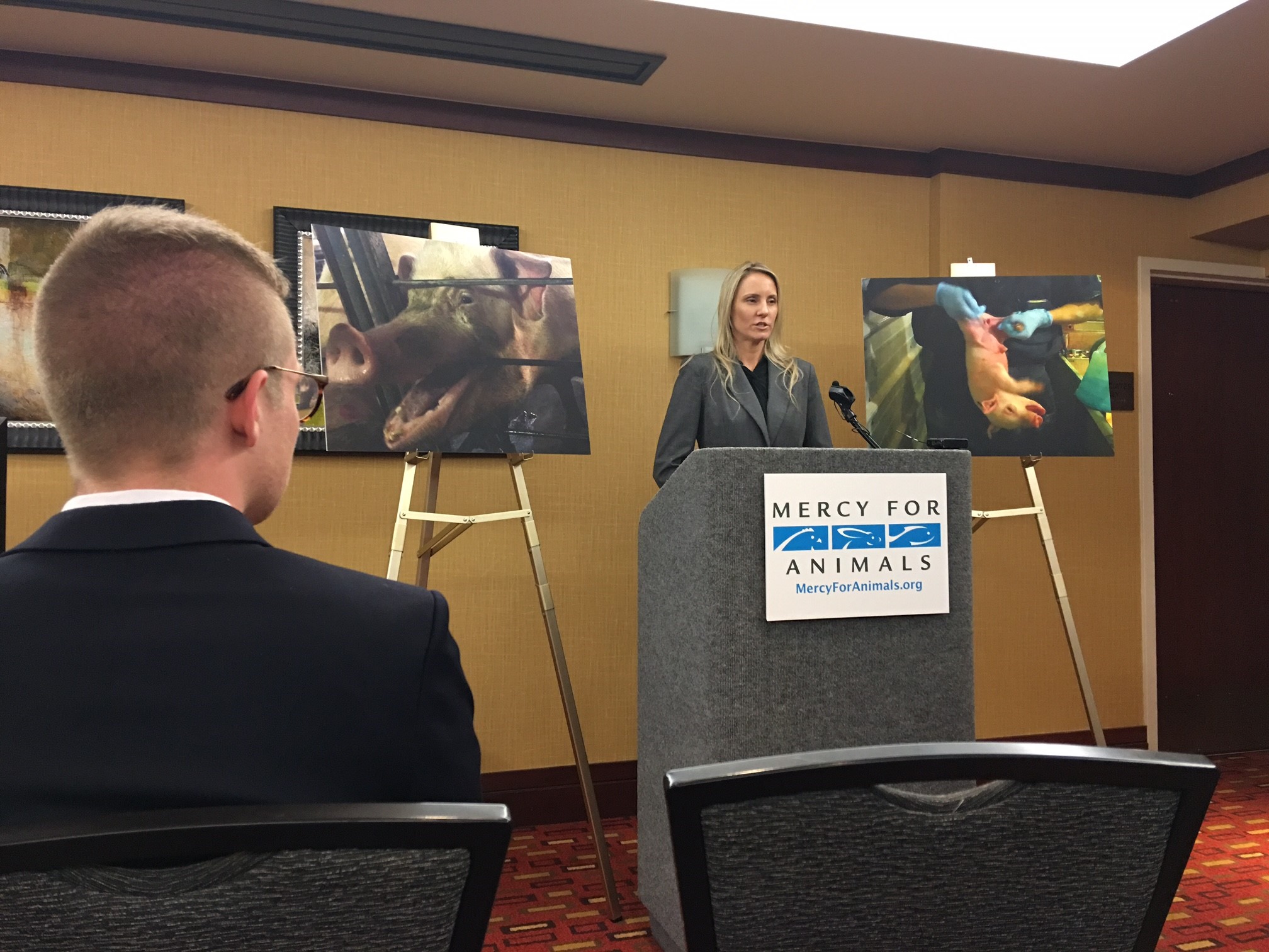 Mercy For Animals Targets Oklahoma Hog Production Facility in Undercover Animal Abuse Scam
