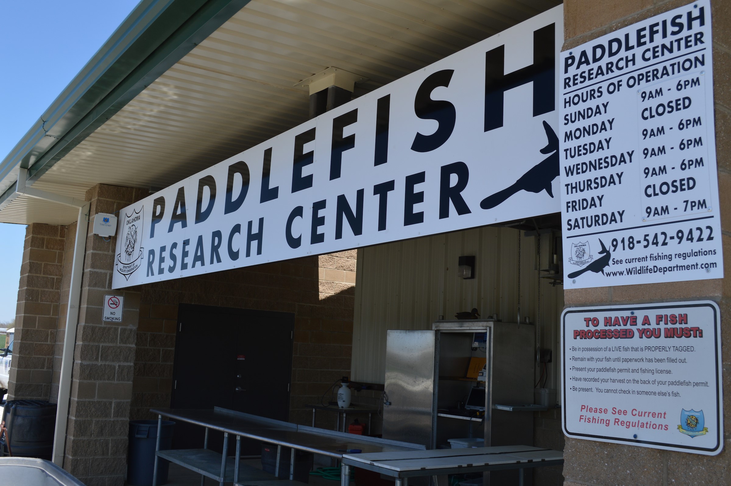 Biologists Studying Paddlefish in Oklahoma Report Reseach of the Fish Going 